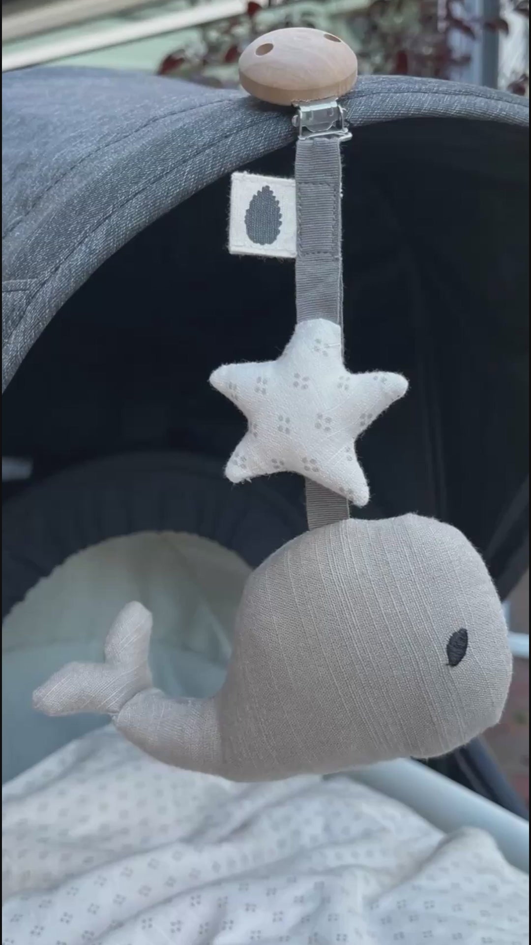 Waldo Pram Toy