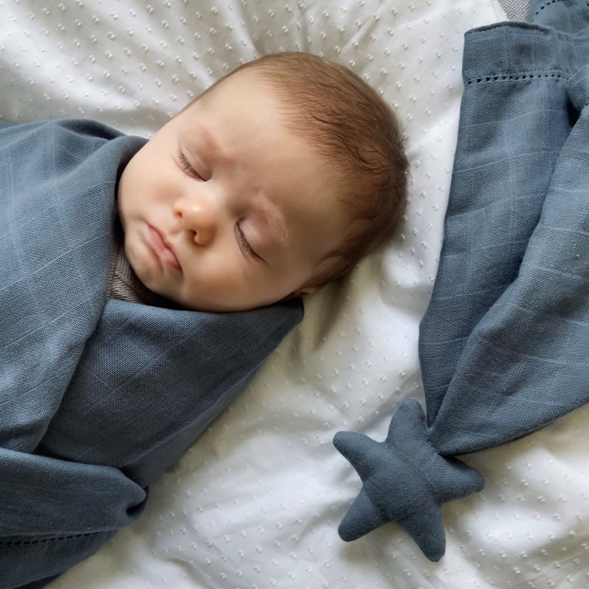 Pine Cone Copenhagen - Fifi Cuddle Cloth - Organic Cotton - Blueberry